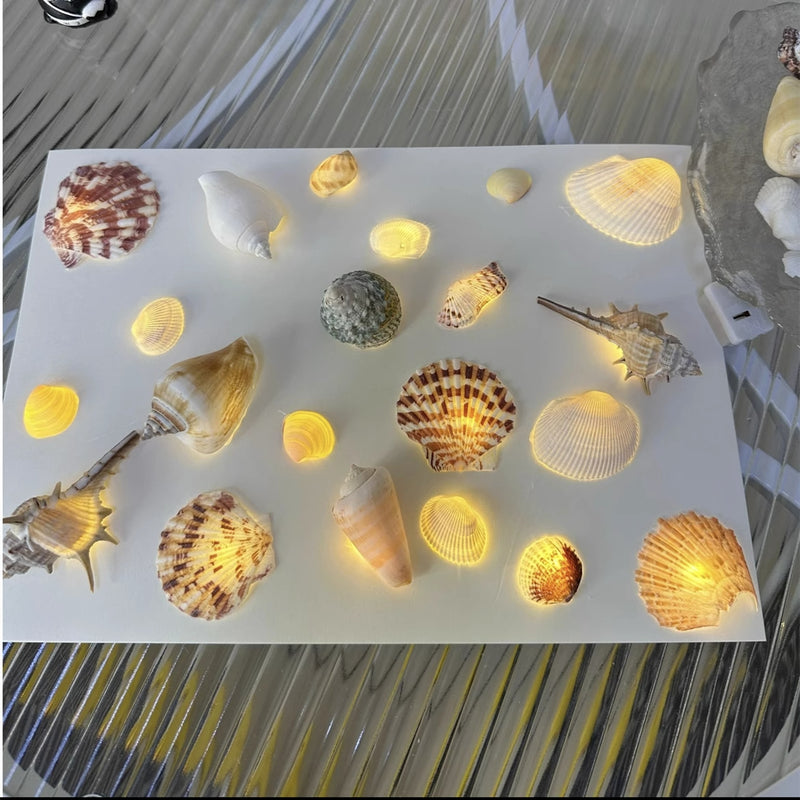 DIY material package for shell and conch, homemade small night light【Material Package】
