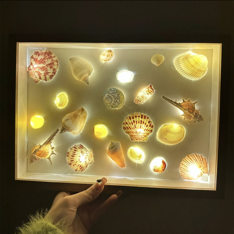 DIY material package for shell and conch, homemade small night light【Material Package】