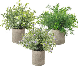 3 Pack Small Potted Artificial Plastic Plants, Mini Fake Rosemary Plant Faux Flower Houseplants for Home Decor Indoor, 9.5" Tall Greenery Plants for Wedding Home Office Desk Garden, Indoor & Outdoor